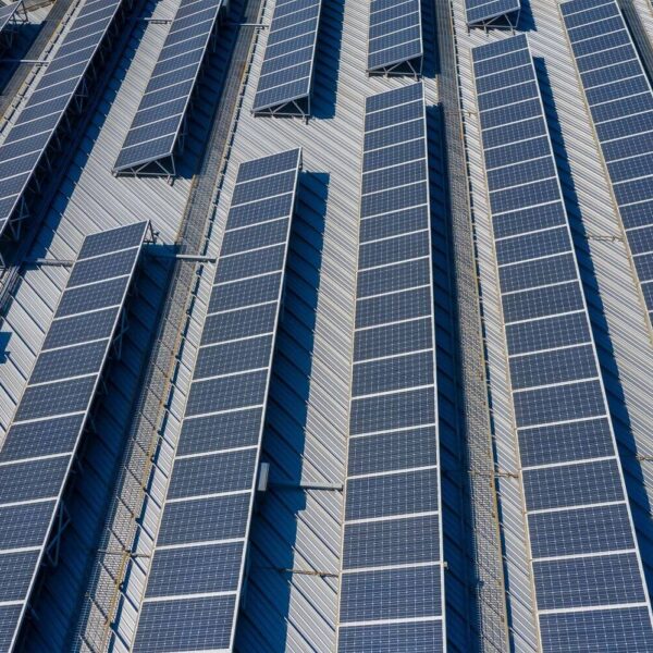 solar-panel-plant-2022-12-15-22-39-12-utc